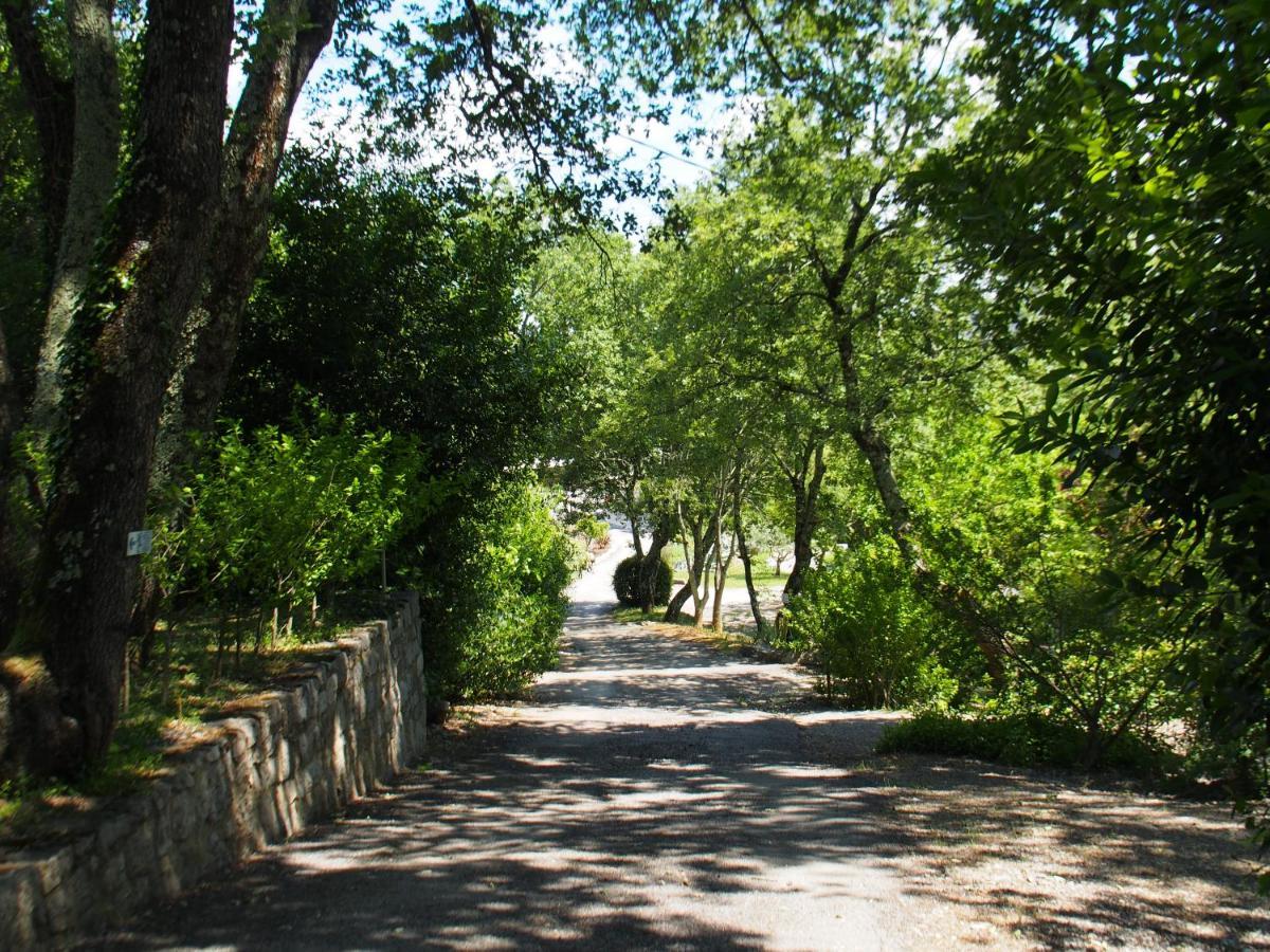 Camping Mas Du Sartre Saint Alban Auriolles 外观 照片