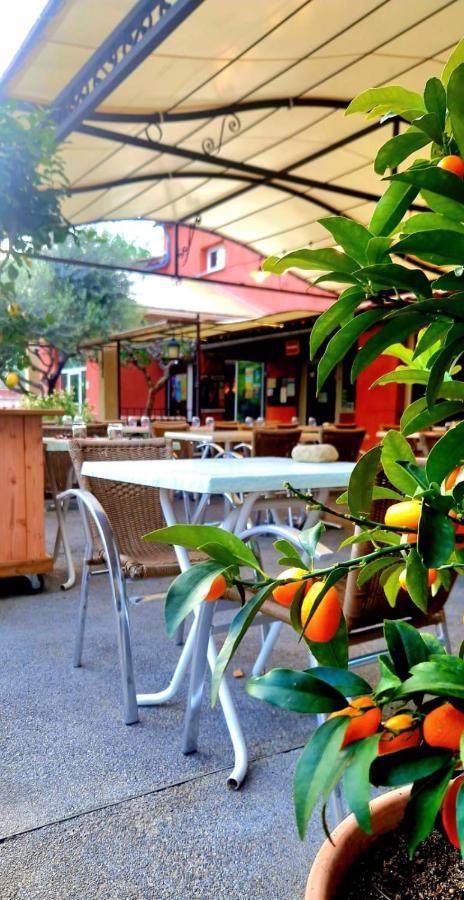 Camping Mas Du Sartre Saint Alban Auriolles 外观 照片